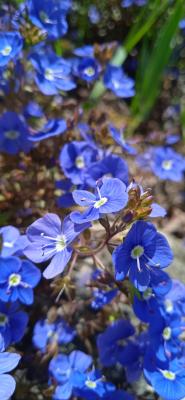 Прикрепленное изображение: prIMG_20220424_113804.jpg